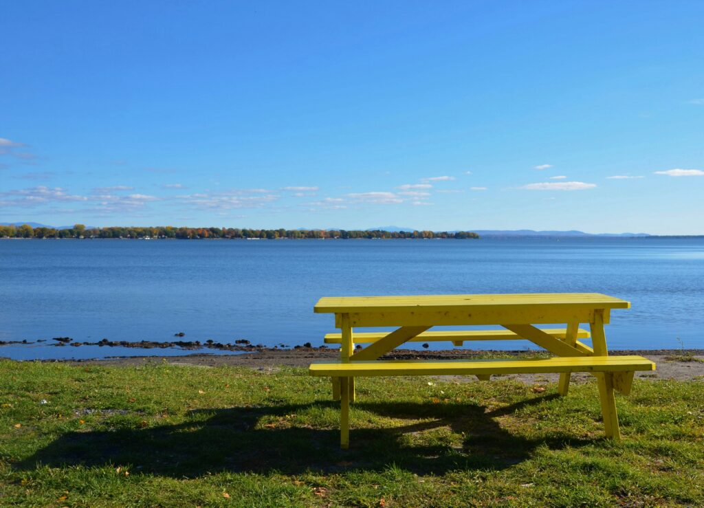 brown wooden bench on green grass field near body of water during daytime